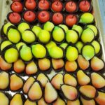 Box "Salento" - immagine 4